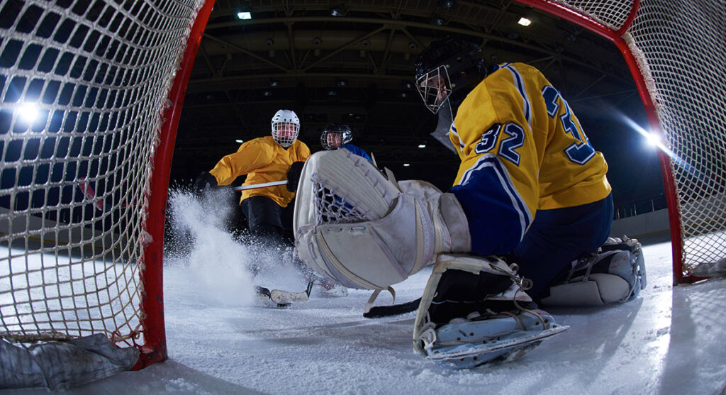 Hockey Goalie and players